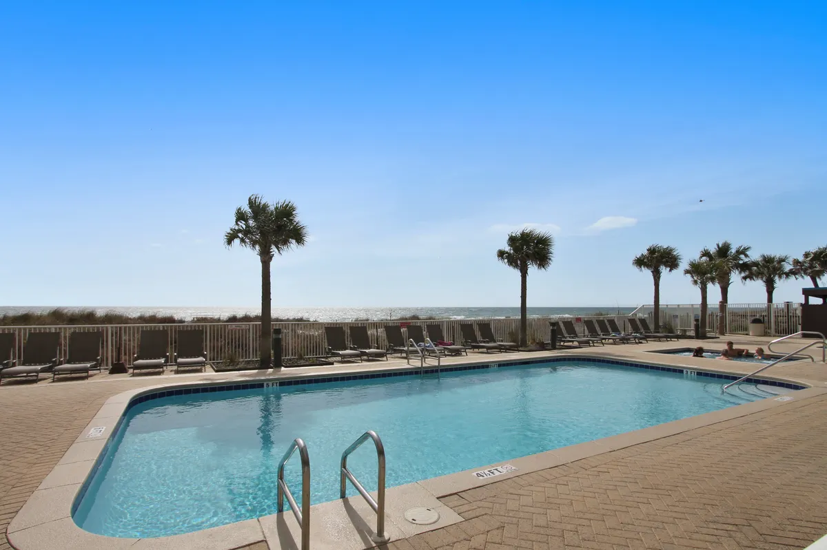 A sparkling outdoor swimming pool is surrounded by palm trees and overlooks a stunning ocean view. The pool area is equipped with lounge chairs and is bathed in sunlight, offering a tranquil setting for relaxation or light activity no matter the season.